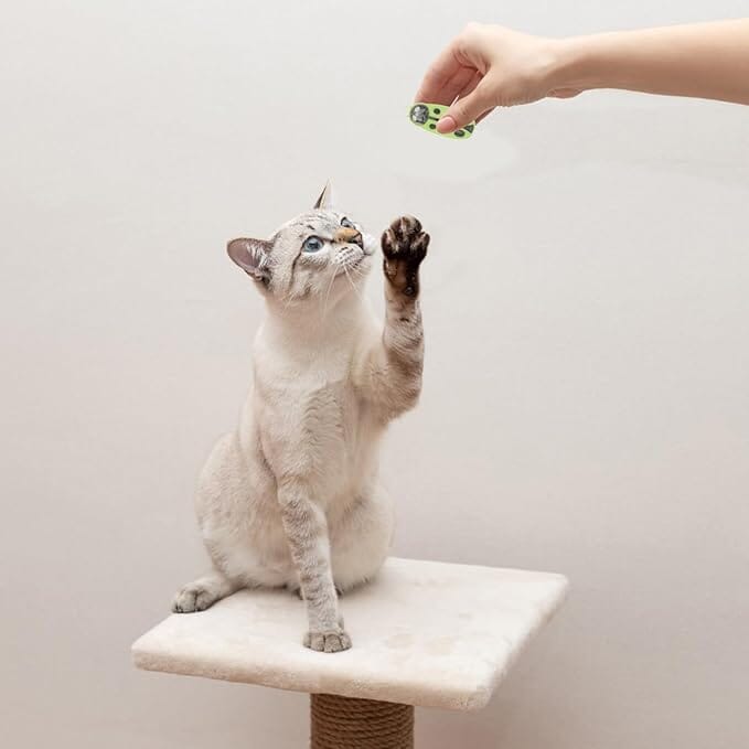 Jouet pour Chat - MiniInsecteToy™ - Coccinelles Vertes - Mon chat mon roi