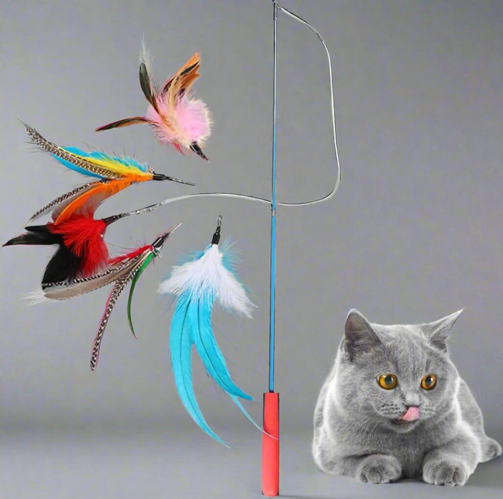Chat Jouet - KittyCatch™ - BleuCiel - Mon chat mon roi