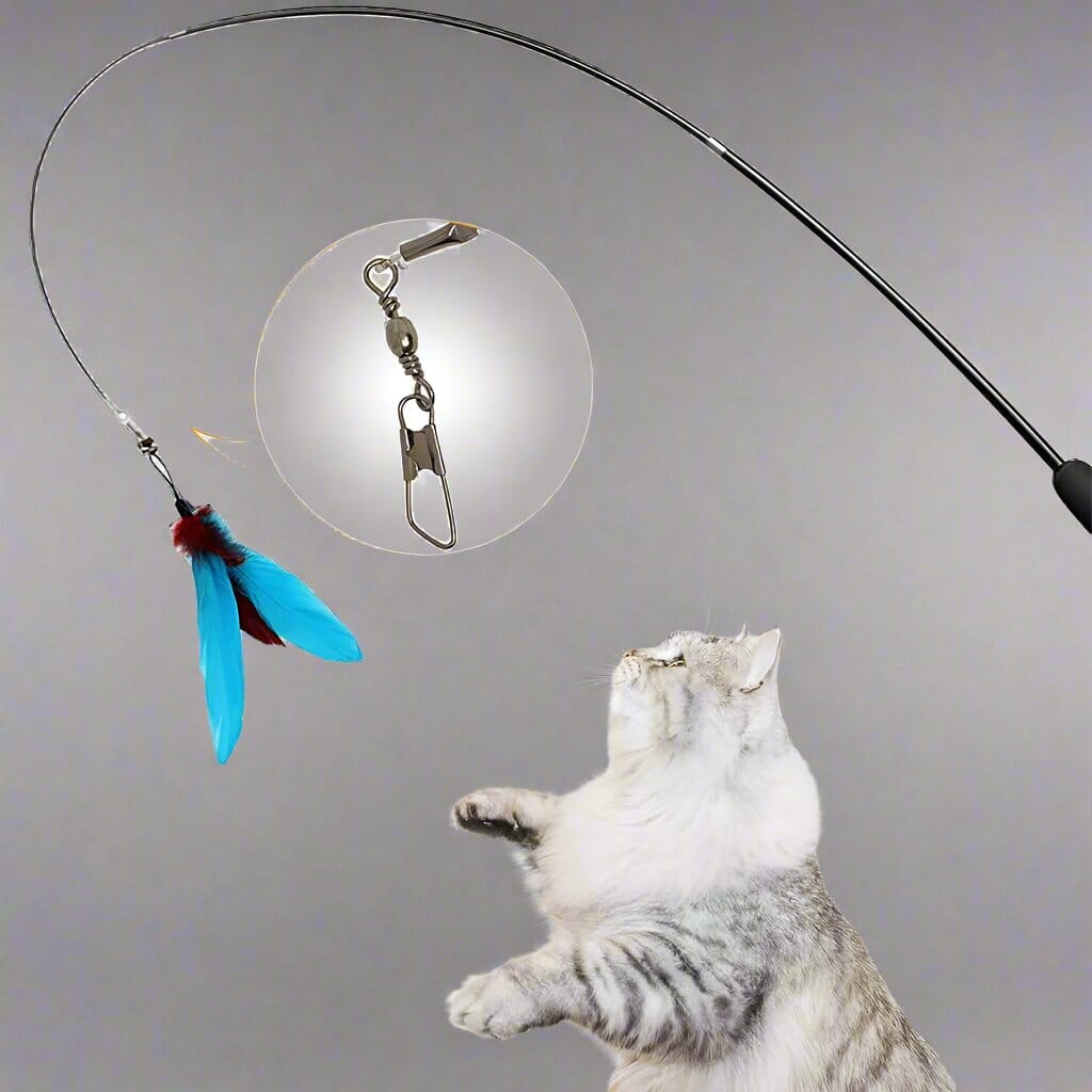 Chat Jouet - KittyCatch™ - Noir - Mon chat mon roi