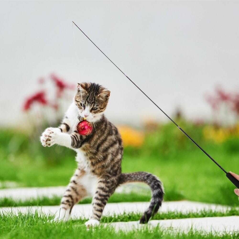 Chat Jouet - KittyCatch™ - Noir - Mon chat mon roi