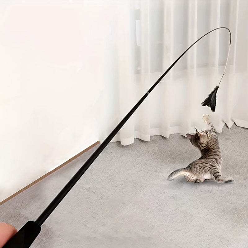 Chat Jouet - KittyCatch™ - Noir - Mon chat mon roi