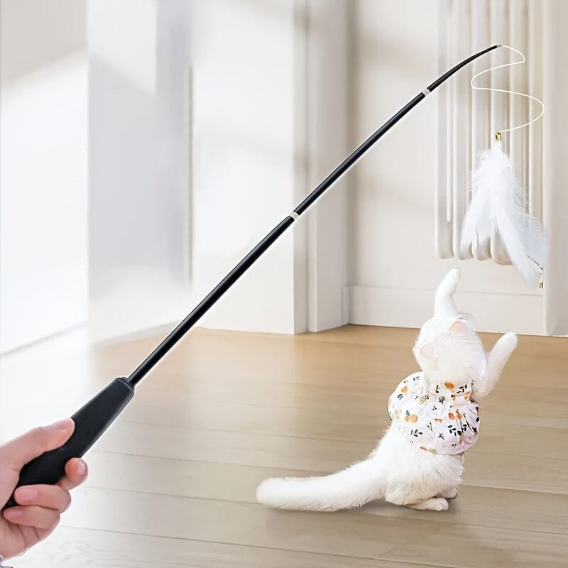 Chat Jouet - KittyCatch™ - Noir - Mon chat mon roi