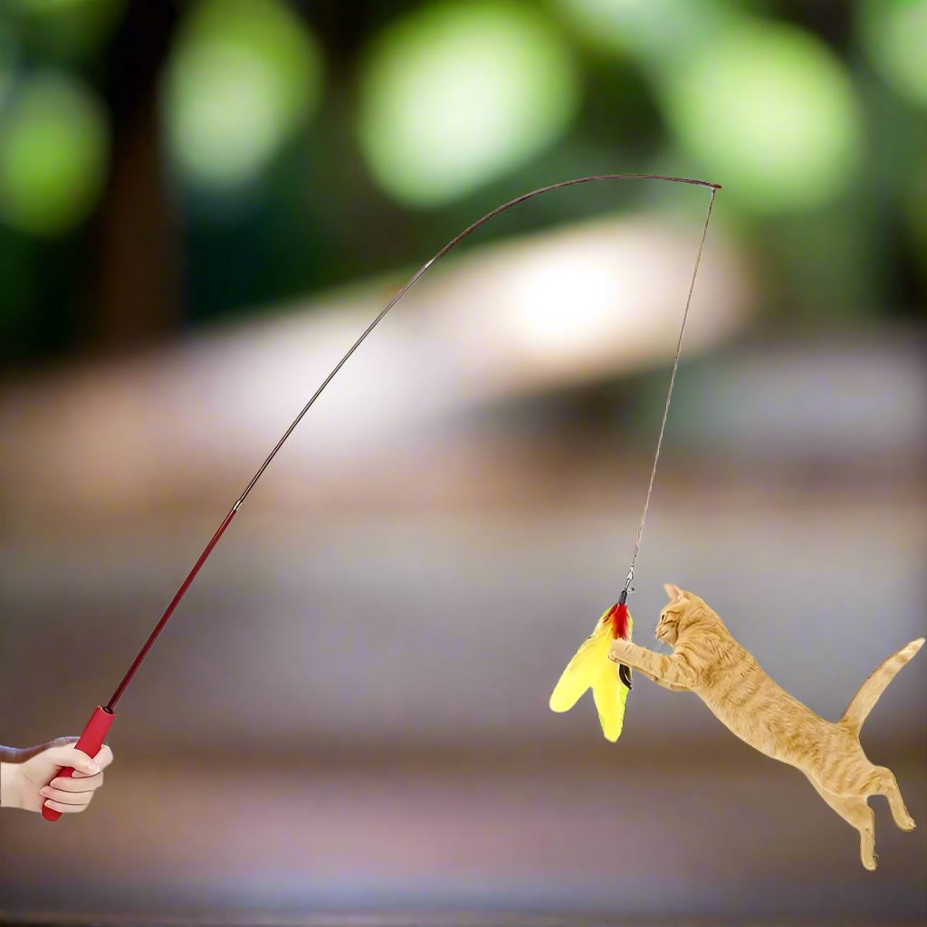 Chat Jouet - KittyCatch™ - Rouge - Mon chat mon roi