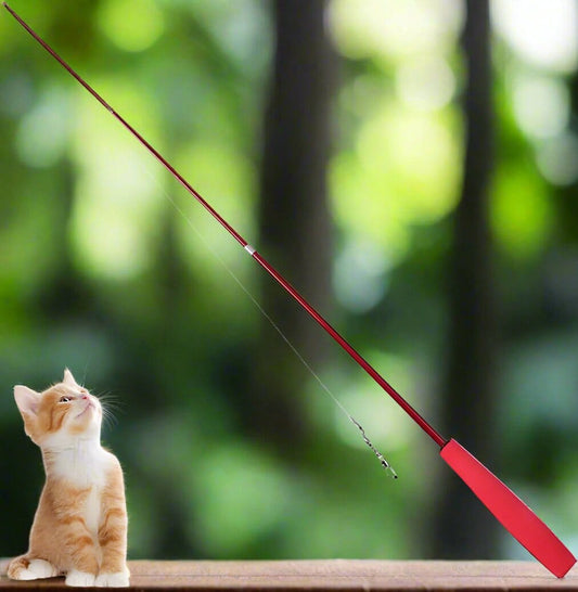 Chat Jouet - KittyCatch™ - Rouge - Mon chat mon roi