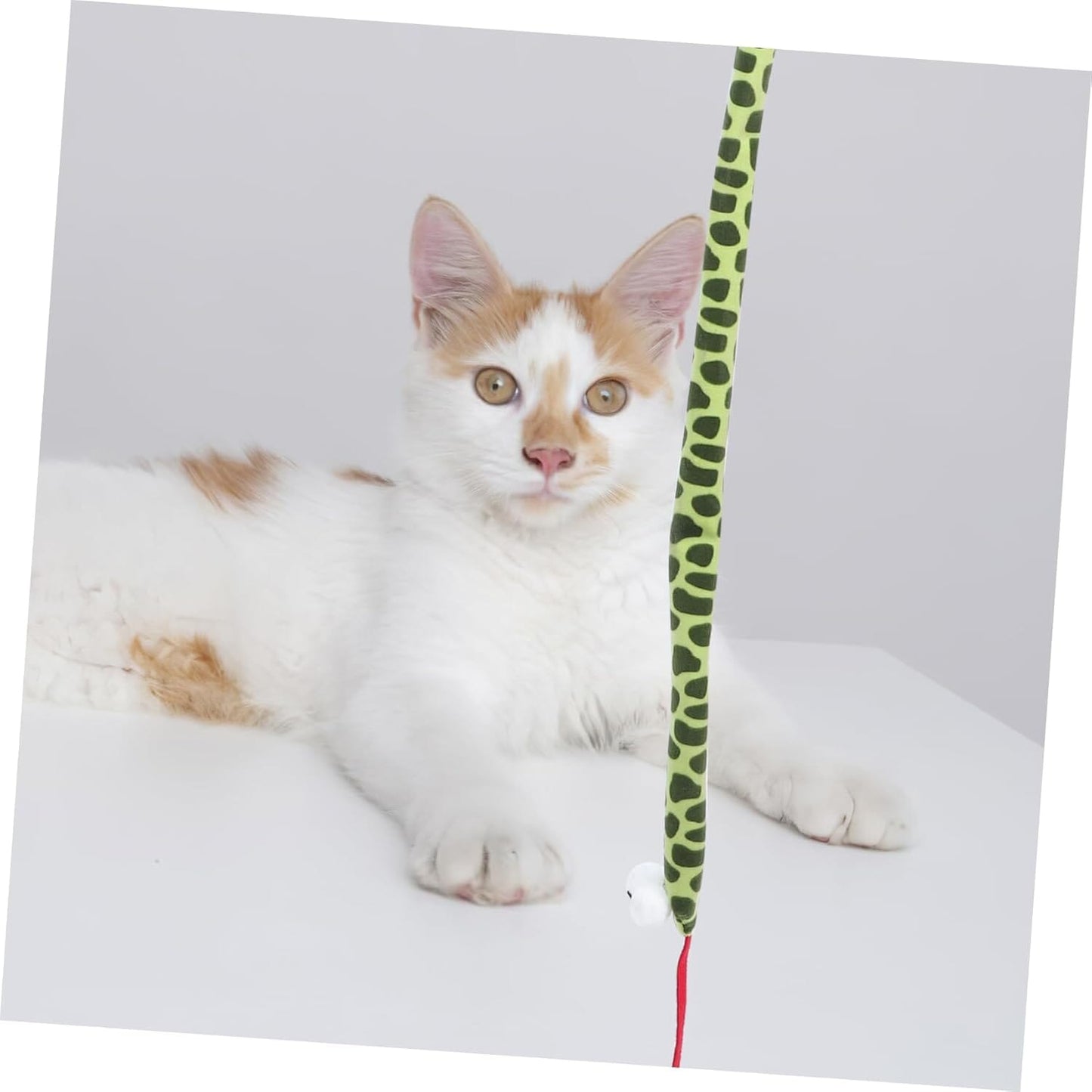 Chat Jouet - KittyCatch™ - Serpent - Mon chat mon roi