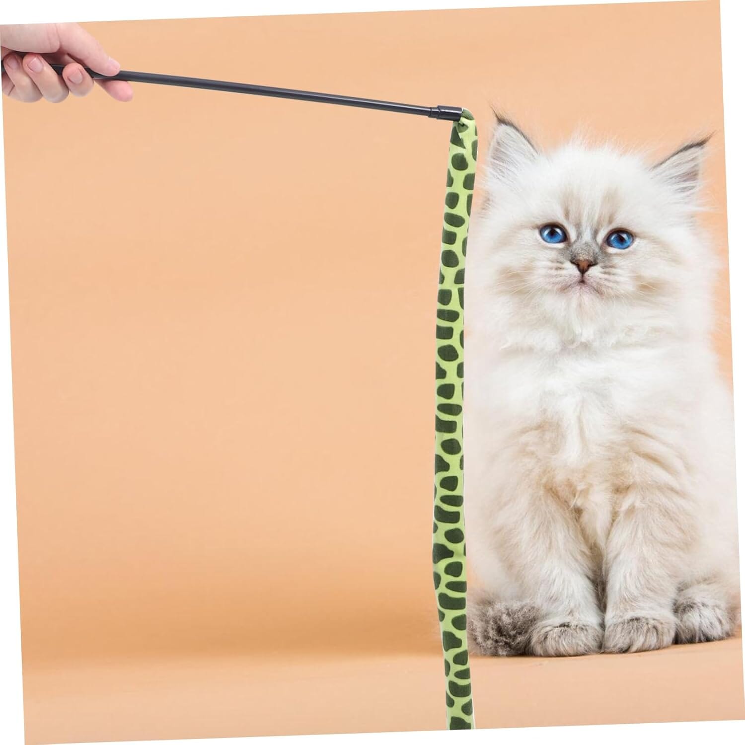 Chat Jouet - KittyCatch™ - Serpent - Mon chat mon roi
