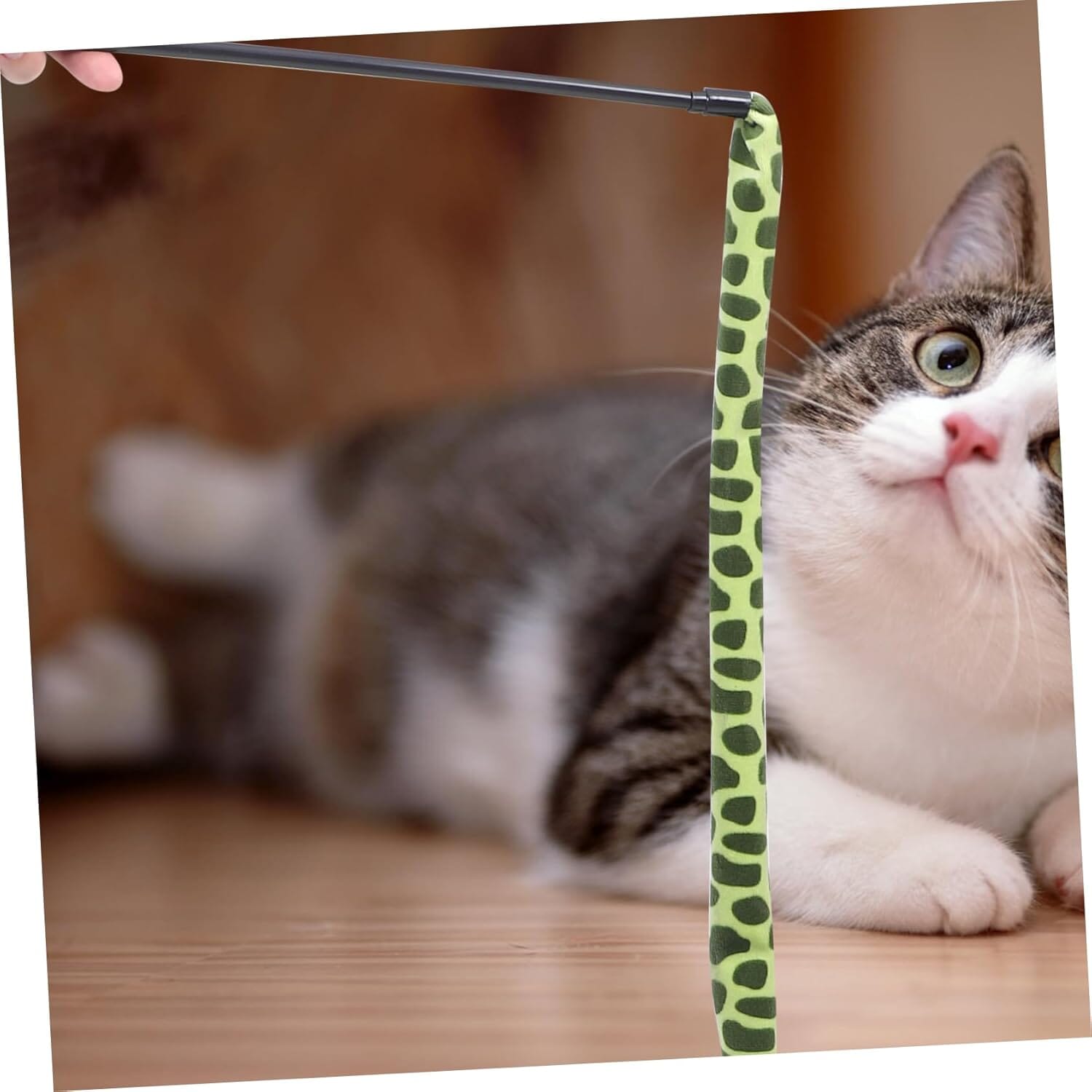 Chat Jouet - KittyCatch™ - Serpent - Mon chat mon roi