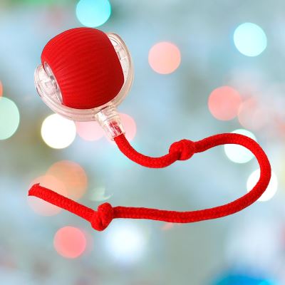 Jeu Chat - CatToysBall™ - Rouge - Mon chat mon roi