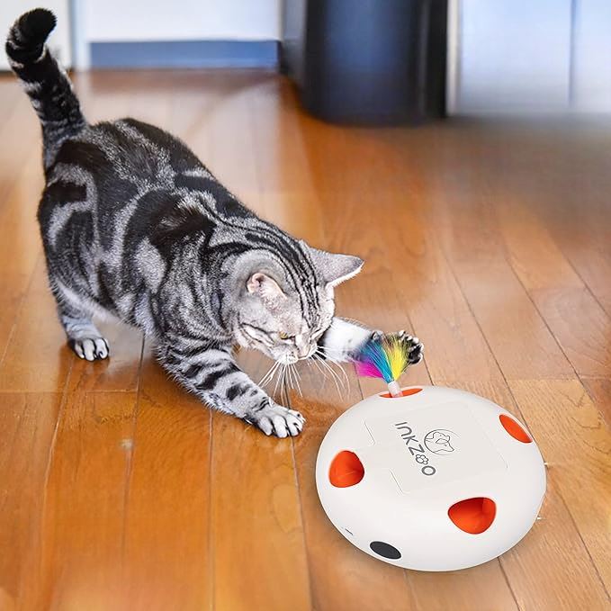 Jeux Chat - PlumeMagique™ - Blanc - Mon chat mon roi