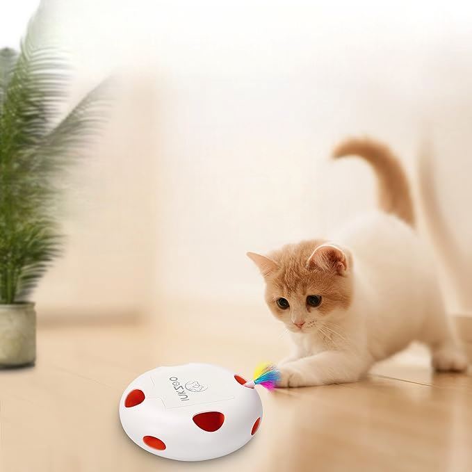 Jeux Chat - PlumeMagique™ - Blanc - Mon chat mon roi