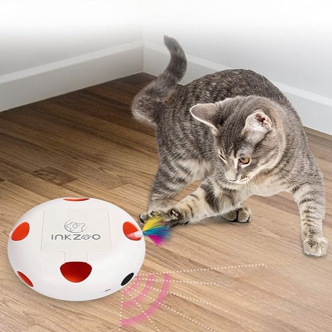 Jeux Chat - PlumeMagique™ - Blanc - Mon chat mon roi