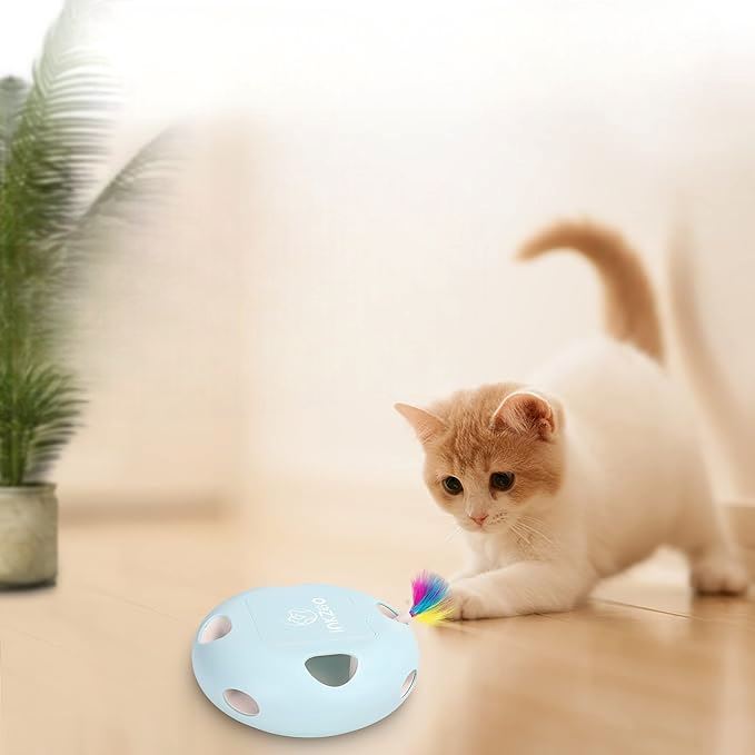 Jeux Chat - PlumeMagique™ - Bleu - Mon chat mon roi