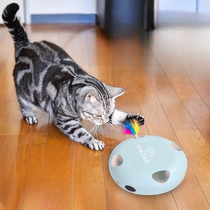 Jeux Chat - PlumeMagique™ - Bleu - Mon chat mon roi