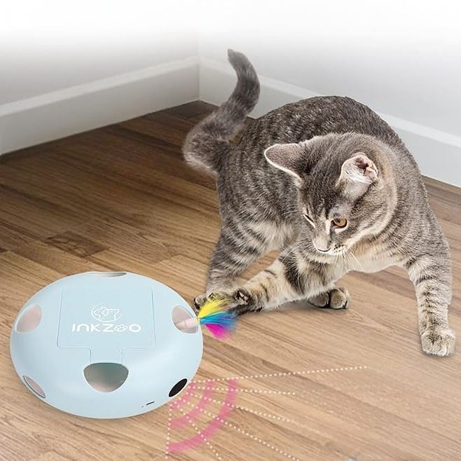 Jeux Chat - PlumeMagique™ - Bleu - Mon chat mon roi