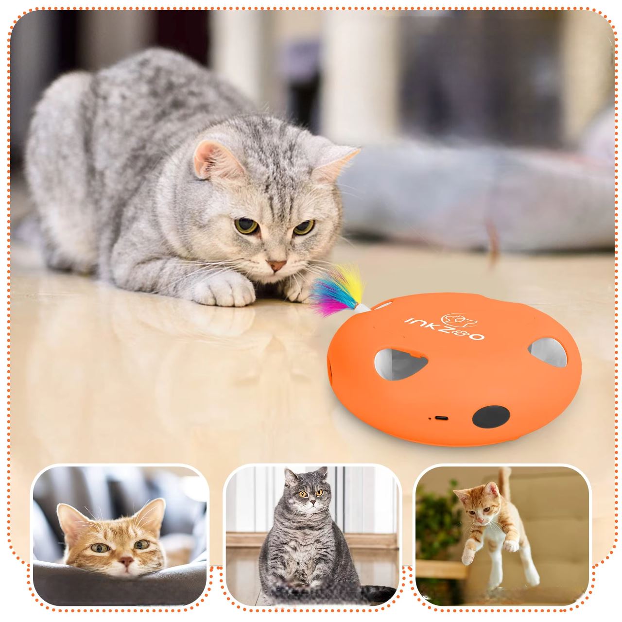 Jeux Chat - PlumeMagique™ - Orange - Mon chat mon roi