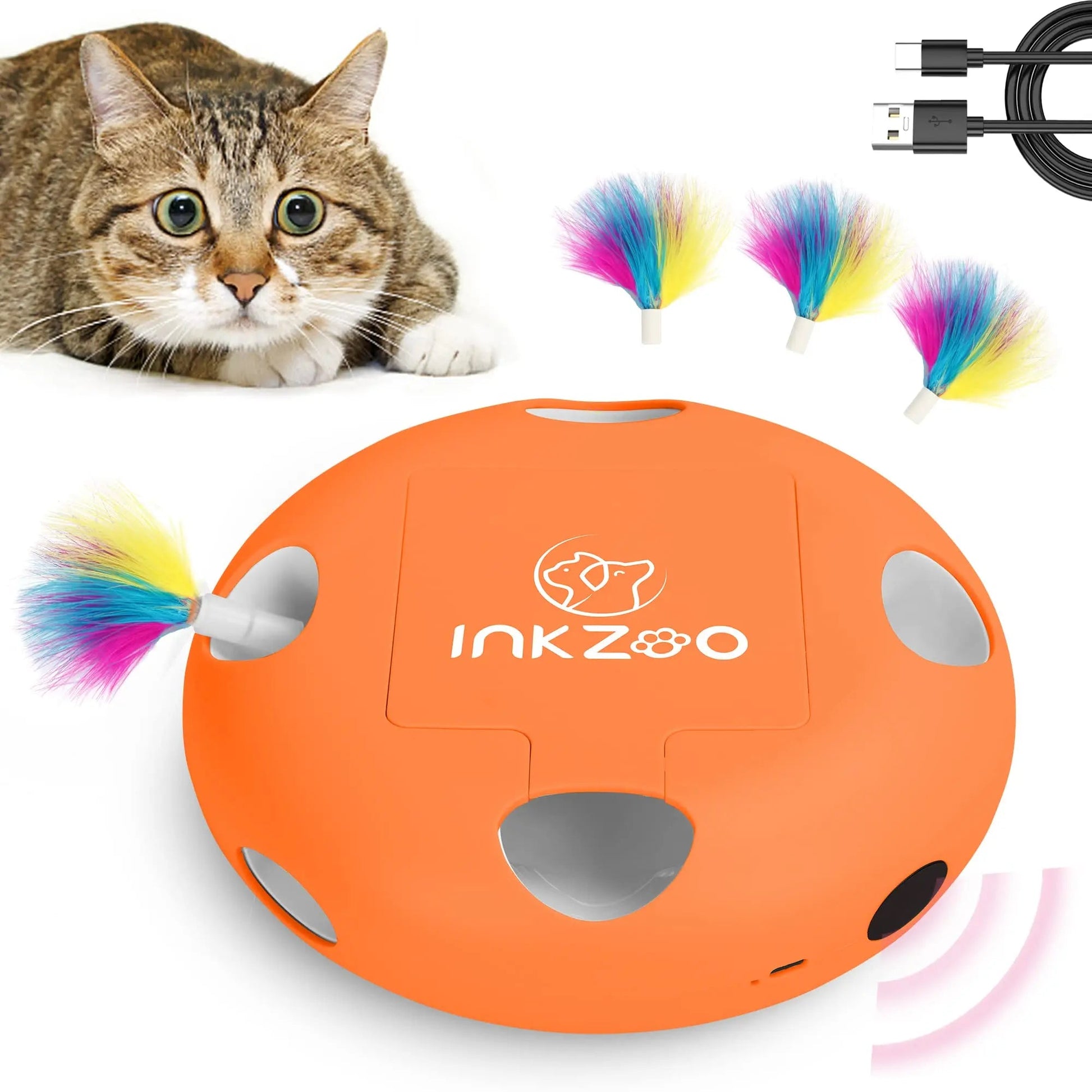Jeux Chat - PlumeMagique™ - Orange - Mon chat mon roi