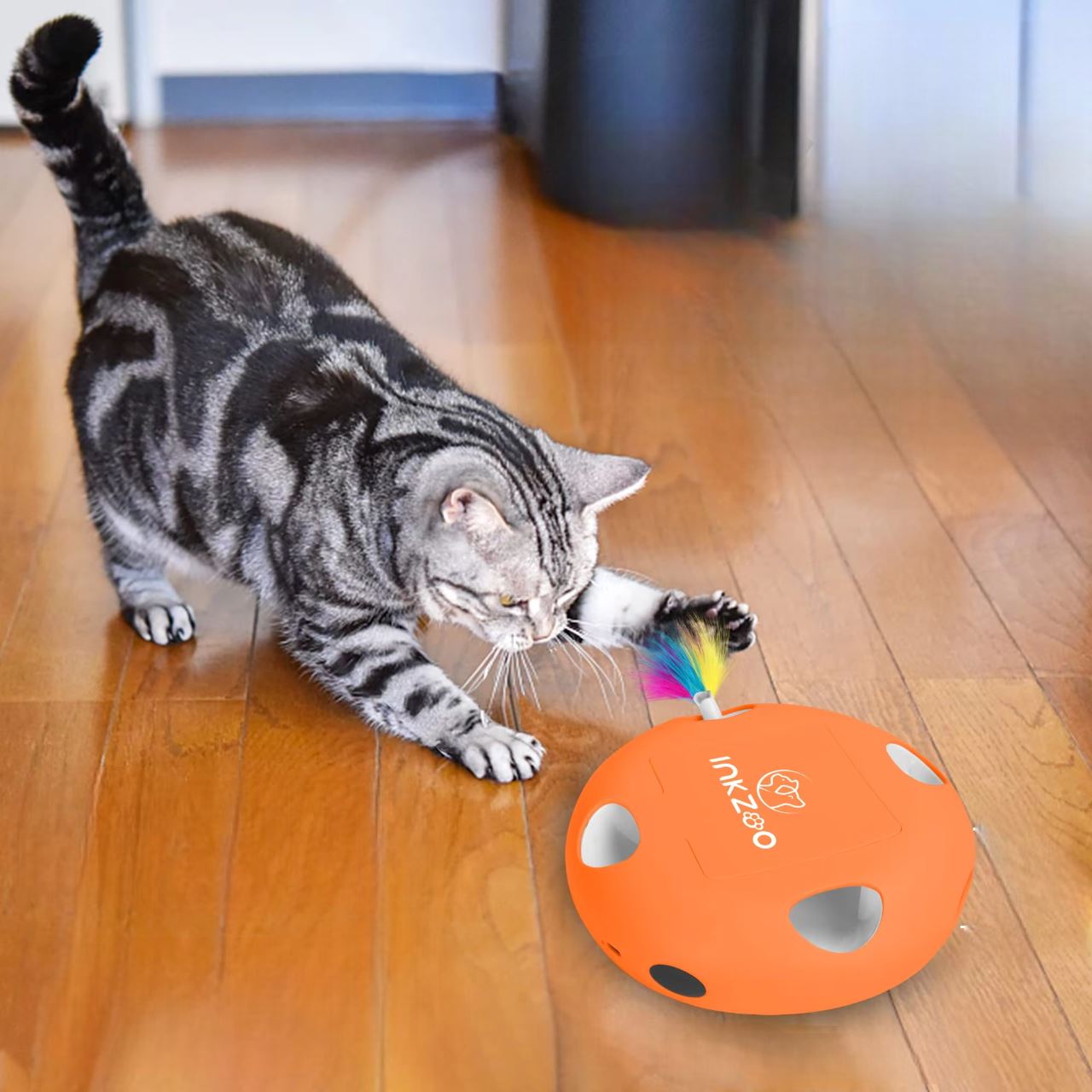 Jeux Chat - PlumeMagique™ - Orange - Mon chat mon roi