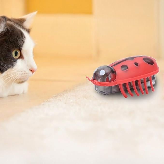 Jouet pour Chat - MiniInsecteToy™ - Coccinelles - Mon chat mon roi