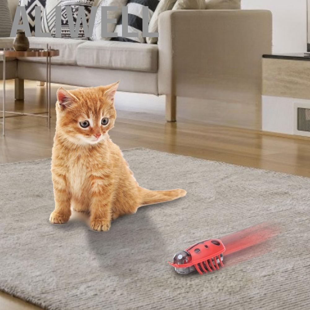 Jouet pour Chat - MiniInsecteToy™ - Coccinelles - Mon chat mon roi