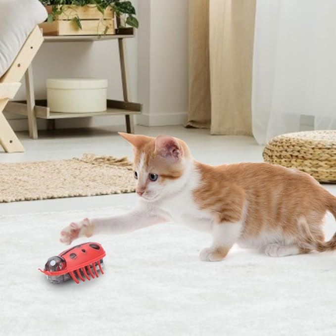 Jouet pour Chat - MiniInsecteToy™ - Coccinelles - Mon chat mon roi