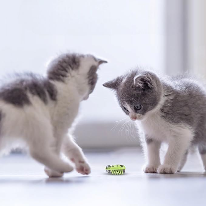 Jouet pour Chat - MiniInsecteToy™ - Coccinelles Vertes - Mon chat mon roi