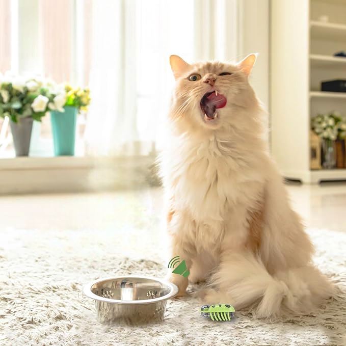 Jouet pour Chat - MiniInsecteToy™ - Coccinelles Vertes - Mon chat mon roi