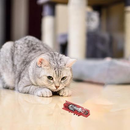 Jouet pour Chat - MiniInsecteToy™ - Scarabée Rouge - Mon chat mon roi