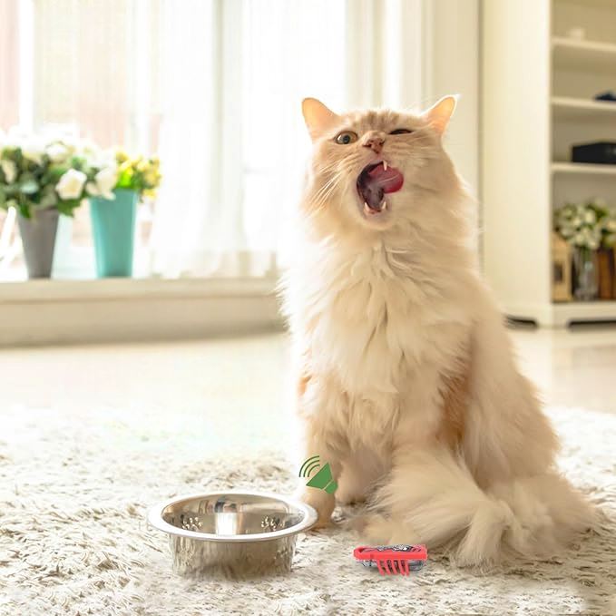 Jouet pour Chat - MiniInsecteToy™ - Scarabée Rouge - Mon chat mon roi