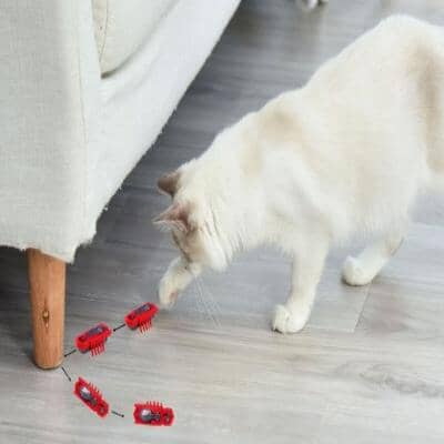 Jouet pour Chat - MiniInsecteToy™ - Scarabée Rouge - Mon chat mon roi